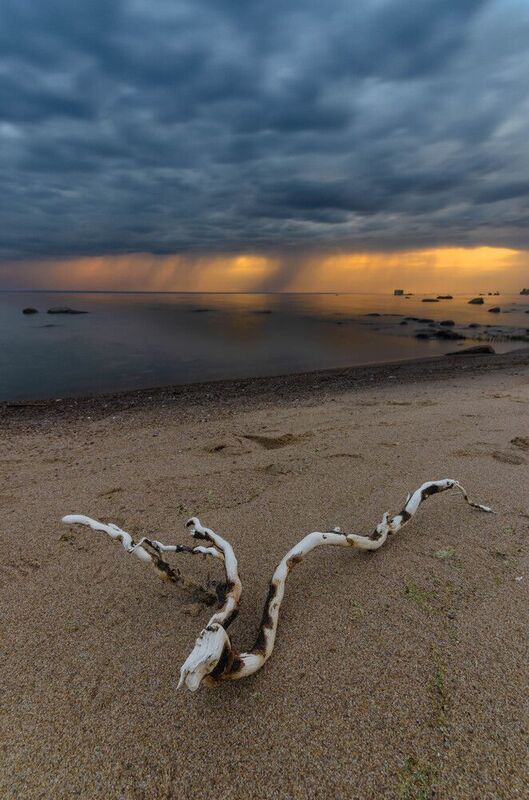 кронштадт, форт риф, западный котлин, санкт-петербург, питер, петербург , спб, закат, тучи, облака, небо, финский залив, залив, пейзаж, пляж, sunset, cloud, sky, bay, landscape, beach Закат на западном котлине фото превью
