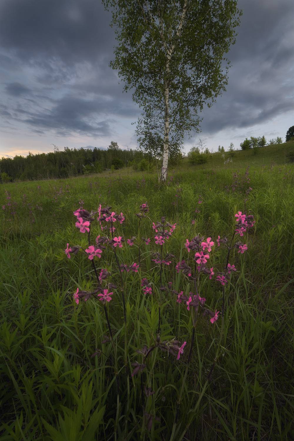 , Павел Жирнов