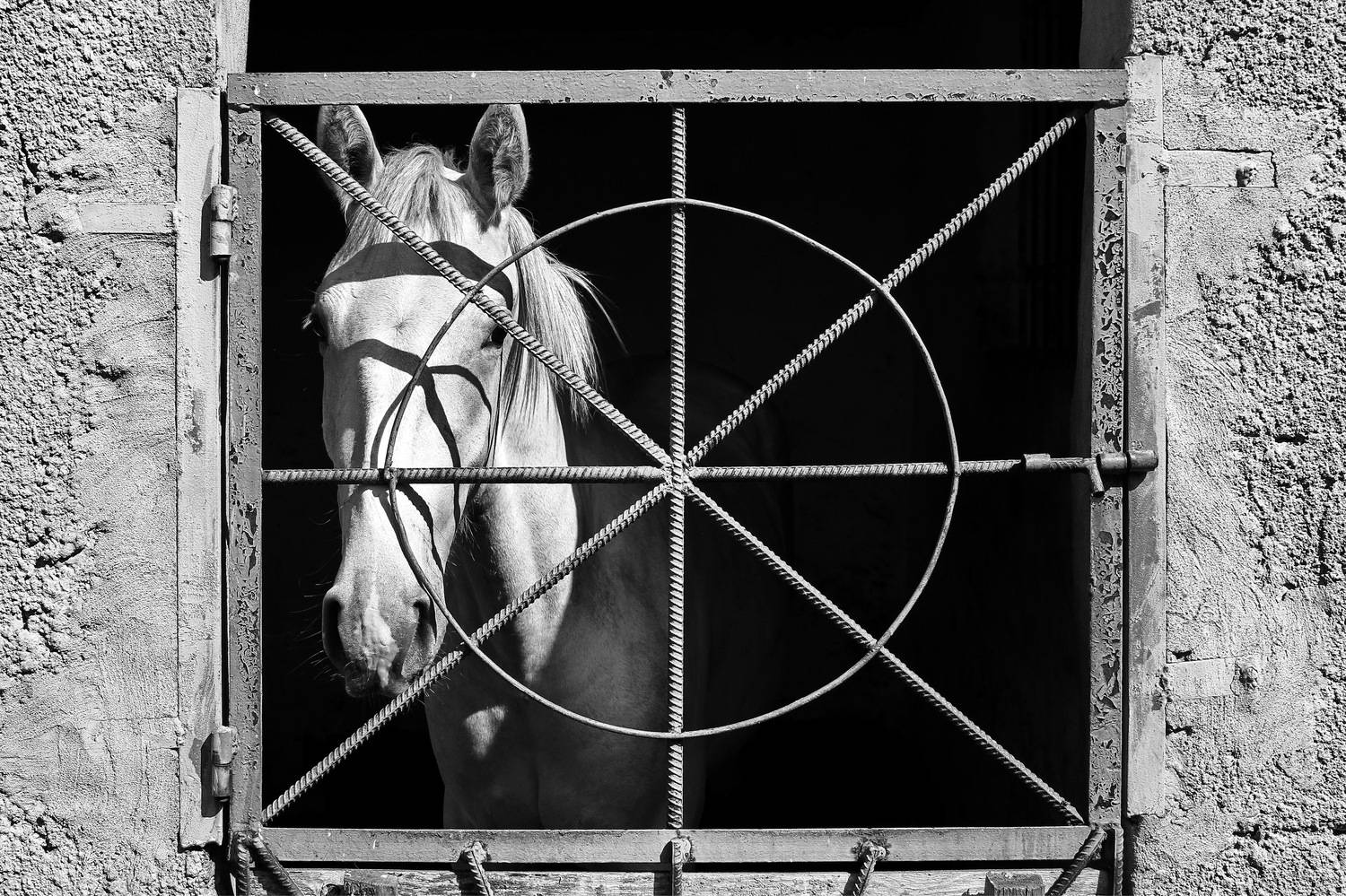 , Гагик Мхитарян