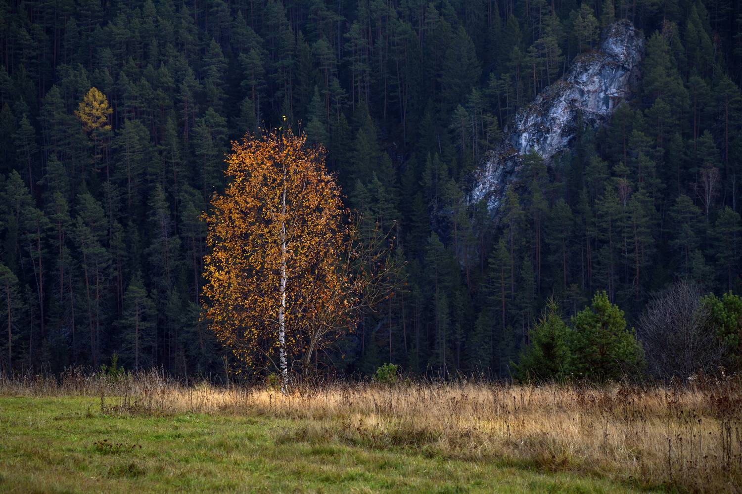 кын-завод, пермский край, урал, Олег Зверев