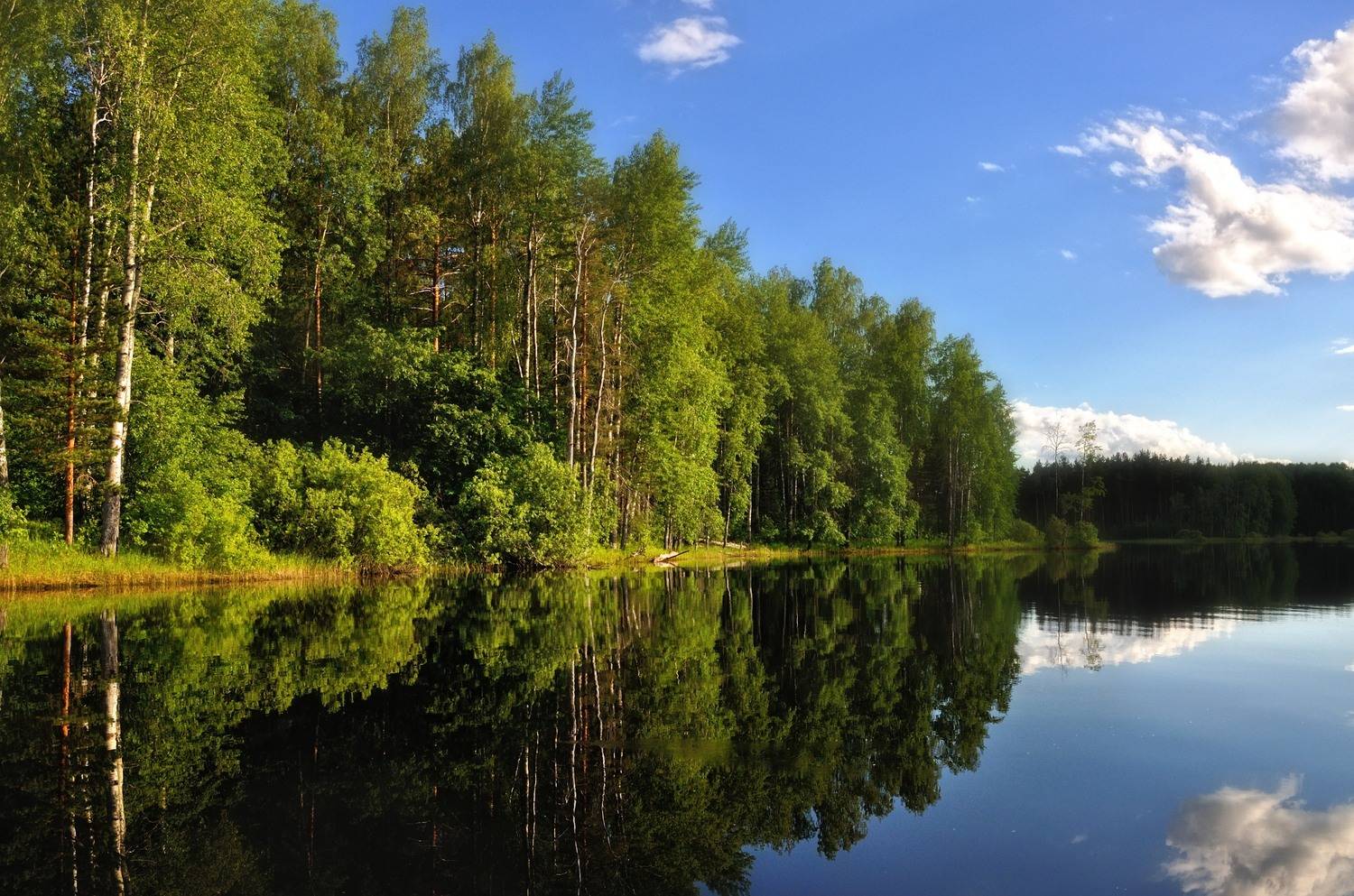 , Куликов Андрей