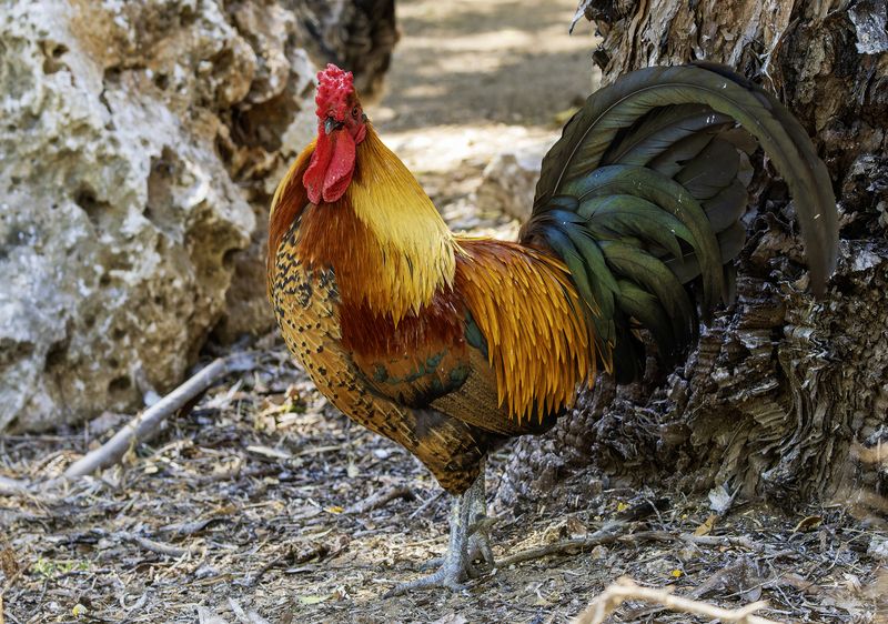 Палитра. фото превью