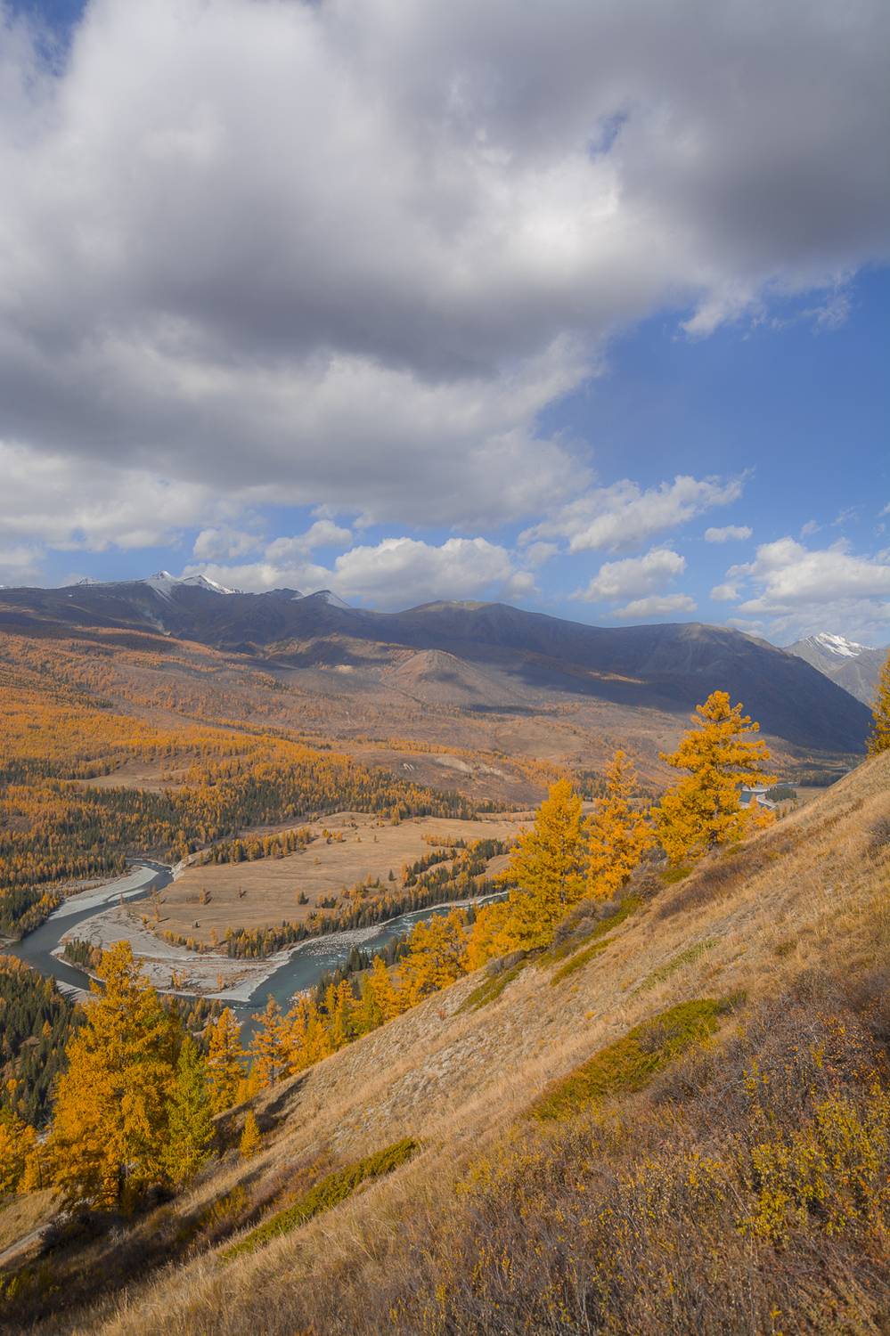 россия, горный алтай,осень, Поляков Андрей