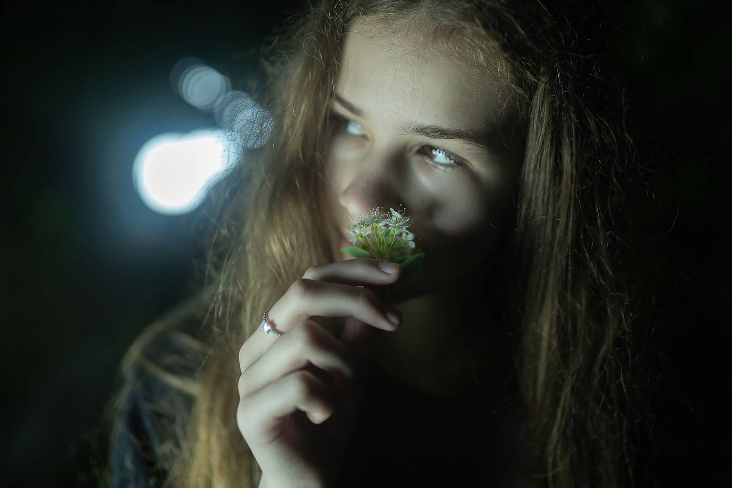 , Дмитрий Счеславский