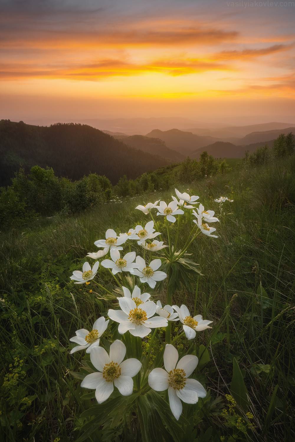 тхач, большой тхач, фототур, яковлевфототур, кавказ, адыгея, Василий Яковлев
