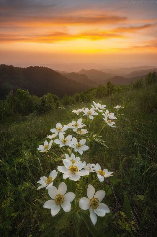 тхач, большой тхач, фототур, яковлевфототур, кавказ, адыгея Большой Тхач фото превью