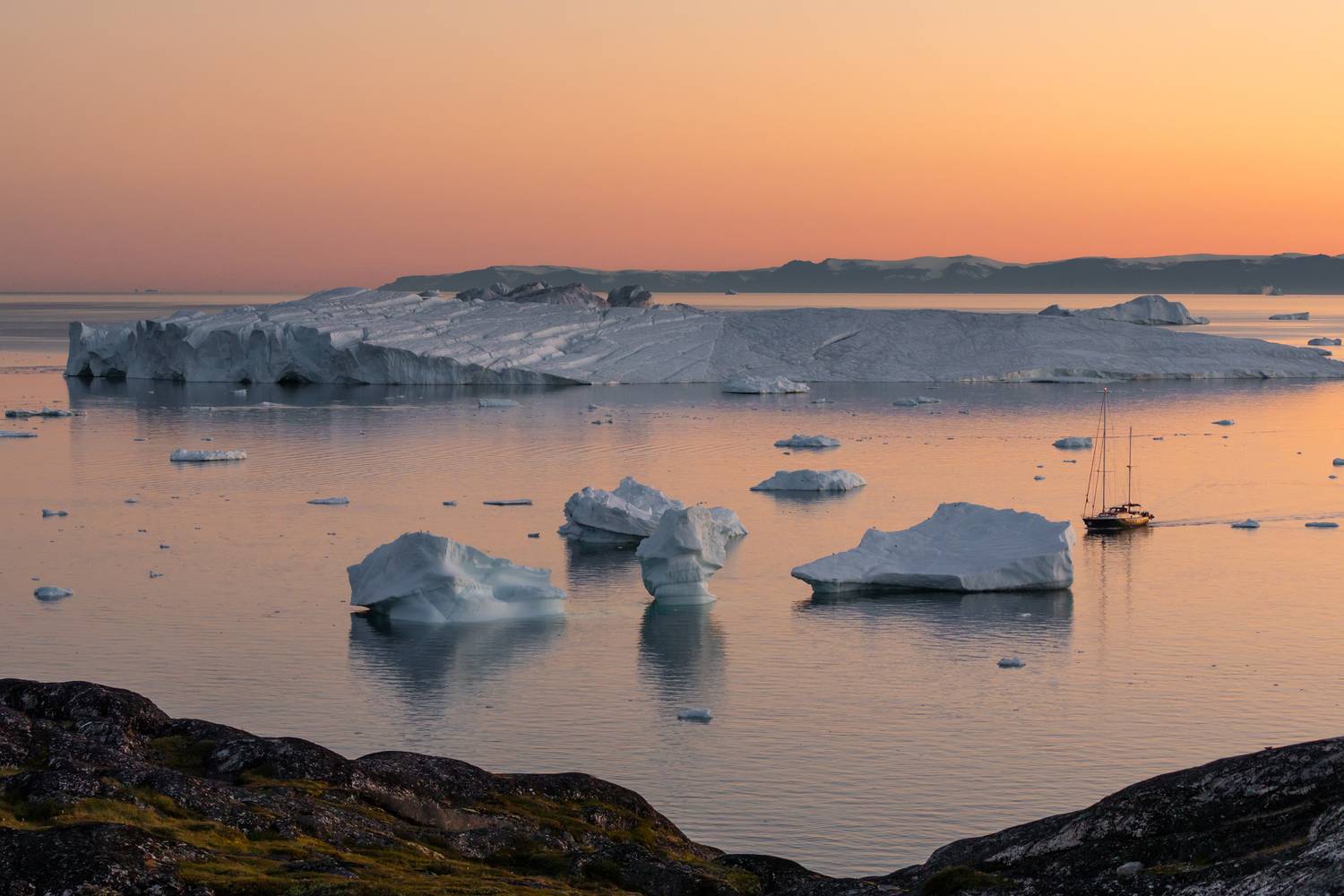 , Евгения Чех