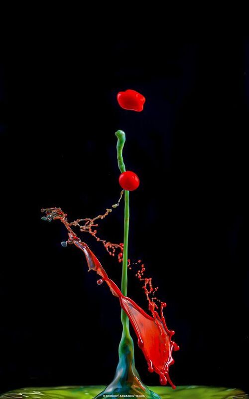 #color_image, #color, #drop, #liqiud, #macro, #water, #macrophoto Color drops фото превью