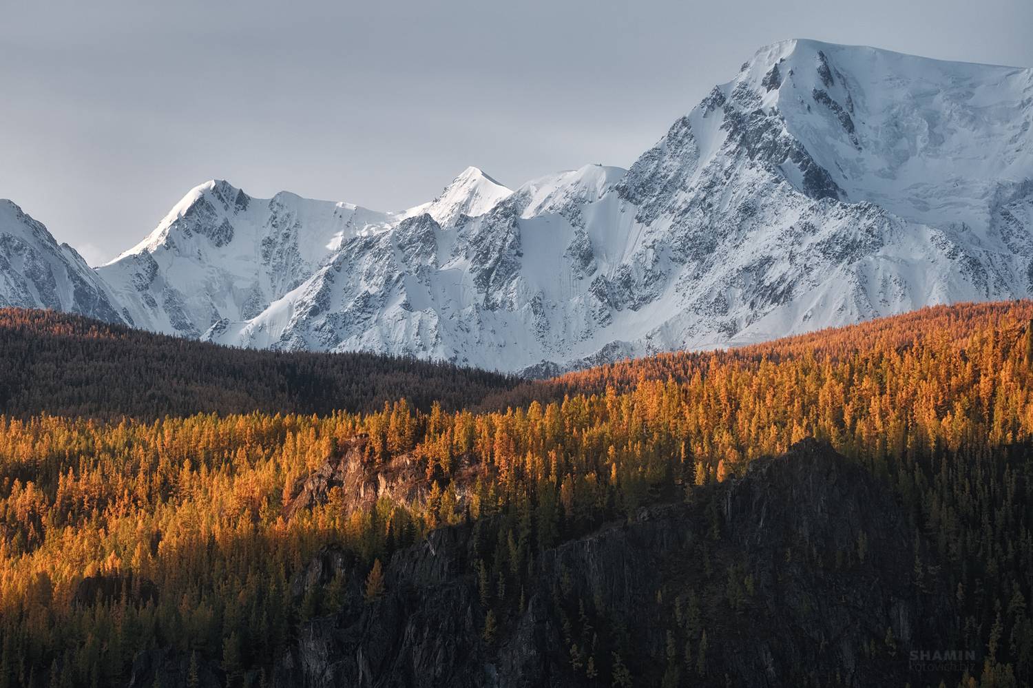 , Константин Шамин