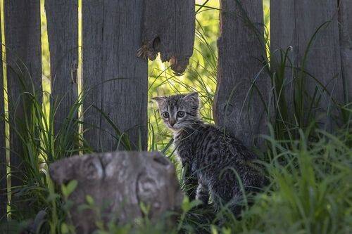 Маленький в большом мире.