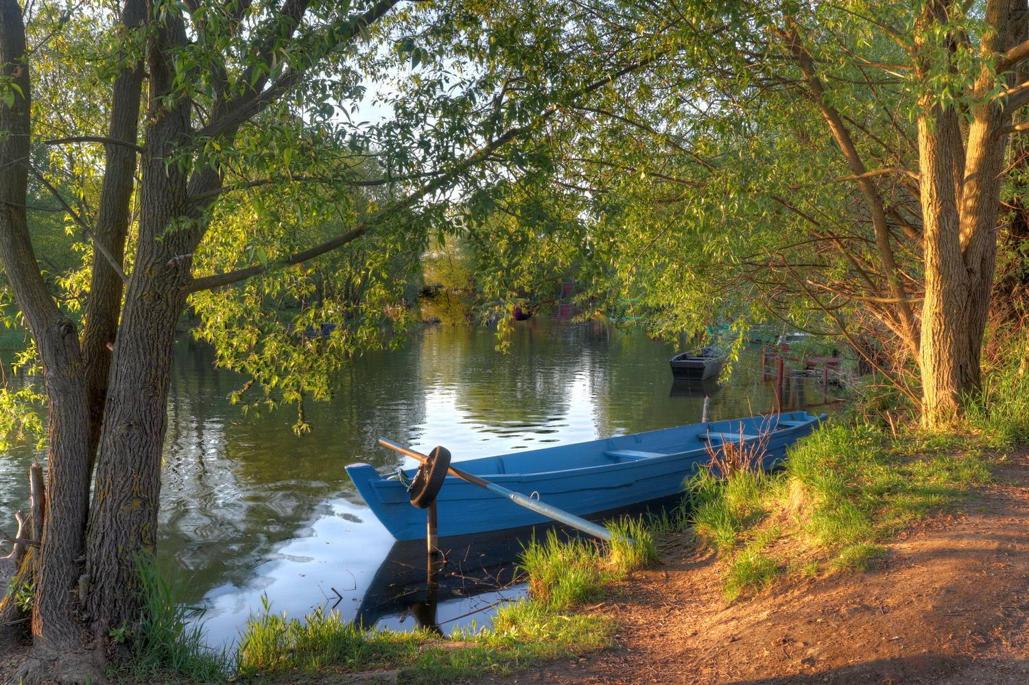 , Добролюбова Тамара