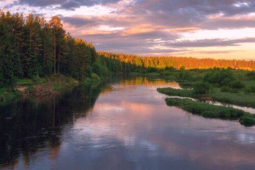 Теплый свет майского утра