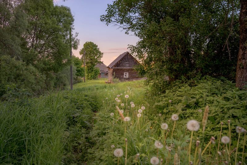 Деревенские прогулки фото превью