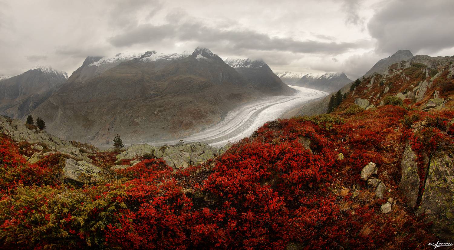 swiss, Матвеев Николай