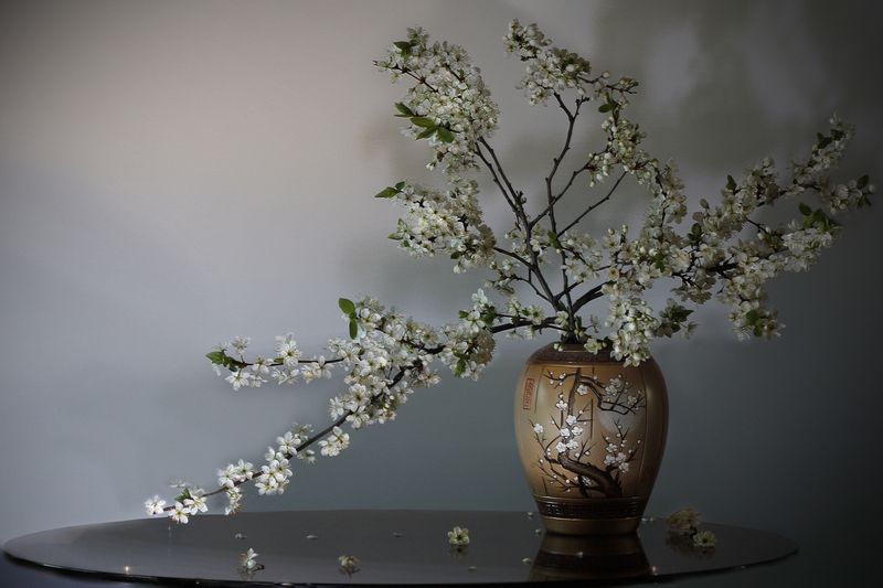 Майский цвет фото превью