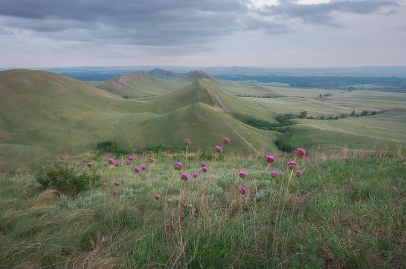 долгие горы, оренбуржье, степь, оренбургскаяобласть Долгие горы фото превью