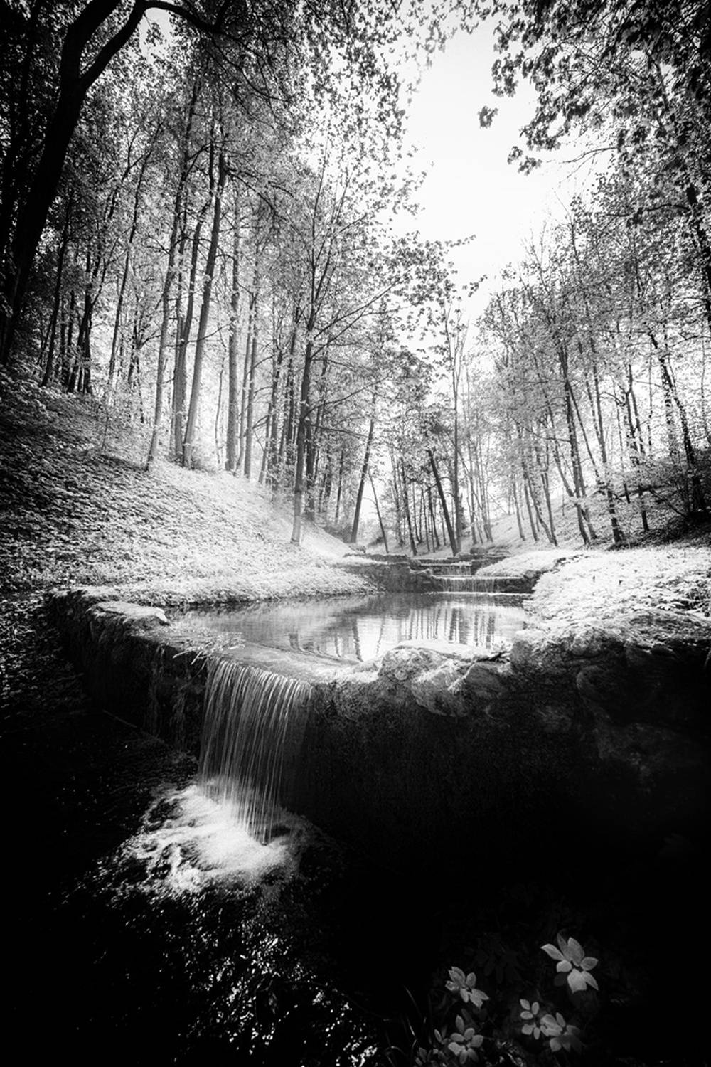 , Копцев Игорь