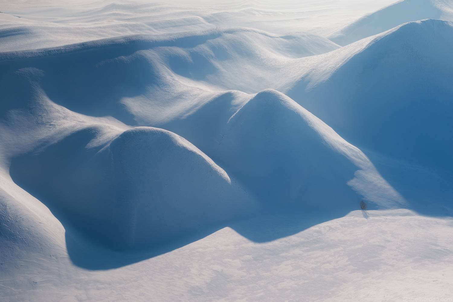 , Даниил Коржонов