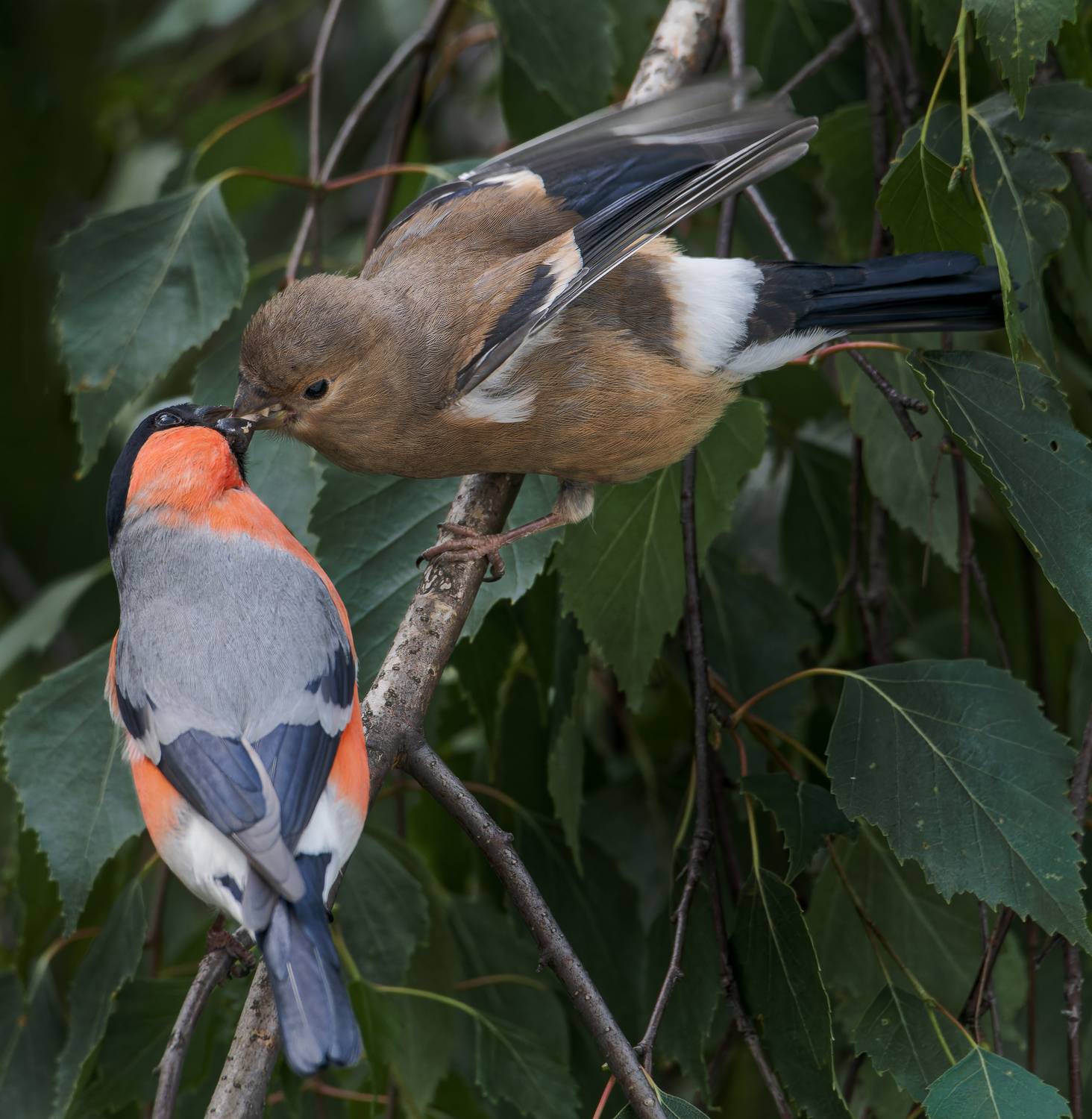 , Фото Александр