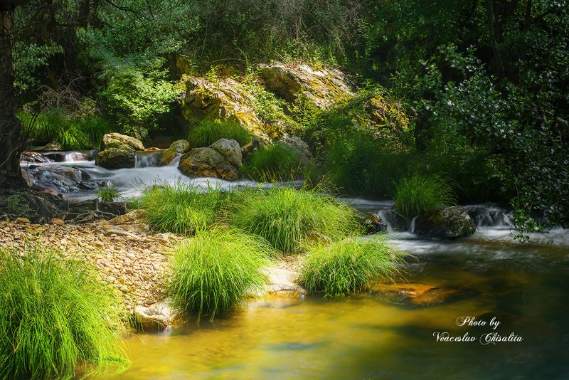 #природа #горныйручей #живописно #горы #поход #летовгорах #пейзаж #тишина #свежийвоздух #диканатура #поток #зелень #вода #горнаярека #природнаямагия #nature #mountainstream #greenescape #hikingadventures #naturevibes #wildwater #earthmood #sereneviews #la Шепот горной воды фото превью