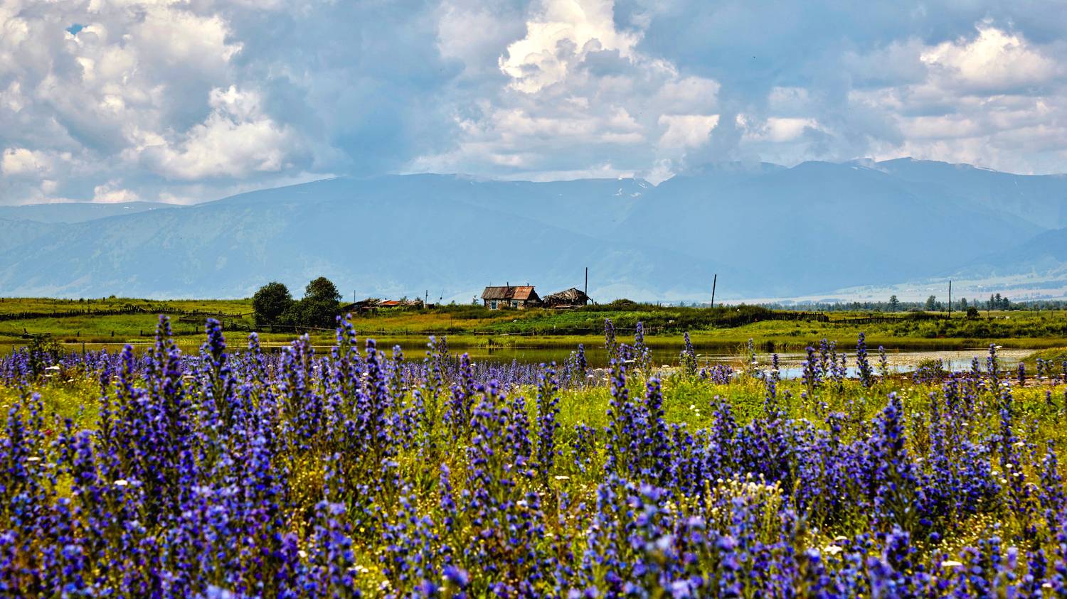алтай, мульта, Кузнецов Андрей