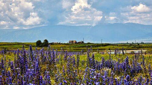 Алтай - Жаркое лето