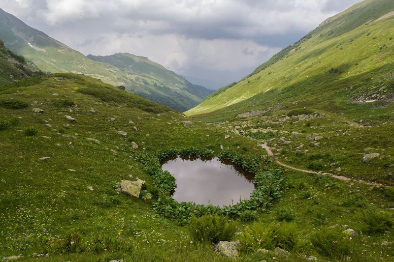 *** фото превью