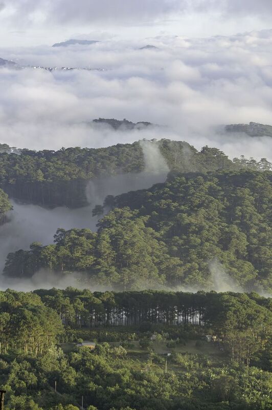 Clouds over pine hill in Dalat, Vietnam at dawn фото превью