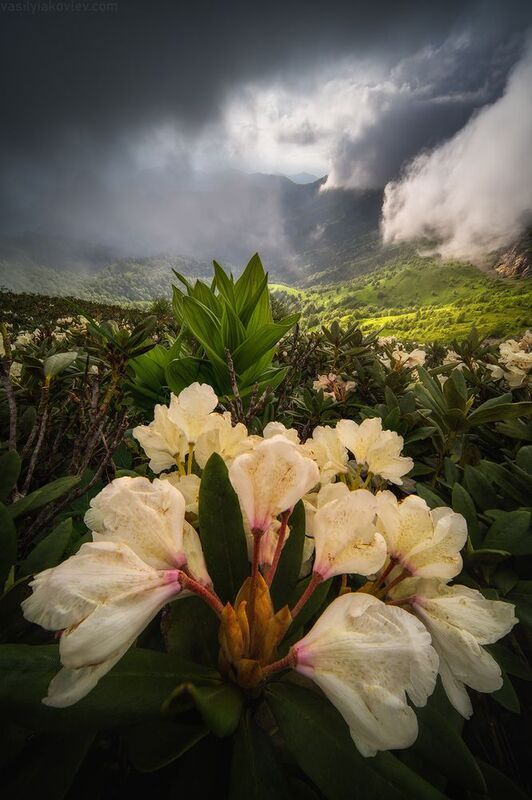 тхач, большой тхач, фототур, яковлевфототур, кавказ, адыгея Большой Тхач фото превью