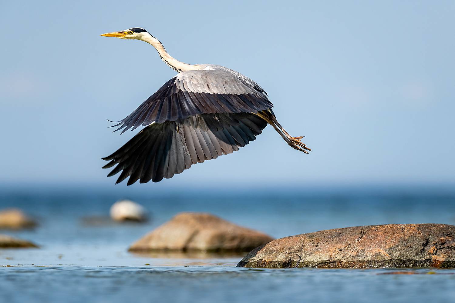 , Абросимов Александр