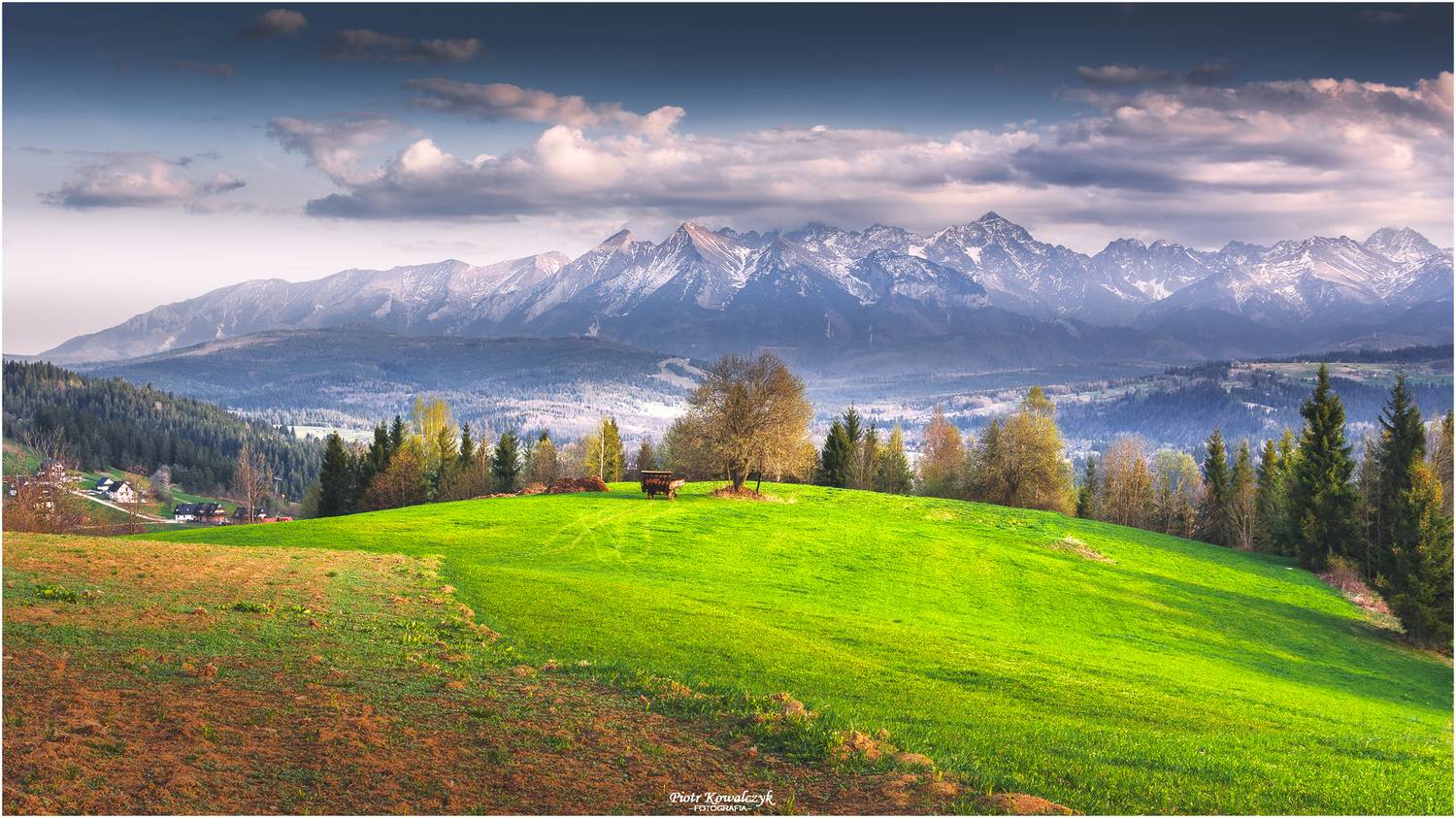 polska, g&oacute;ry, tatry, drzewo, Kowalczyk Piotr