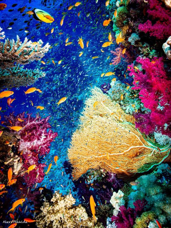 It’s a beautiful Life! фото превью