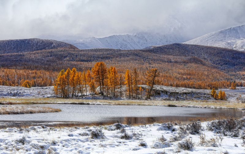 Первоснежье фото превью