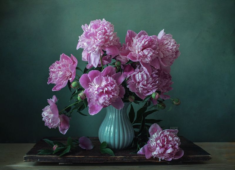 *** фото превью