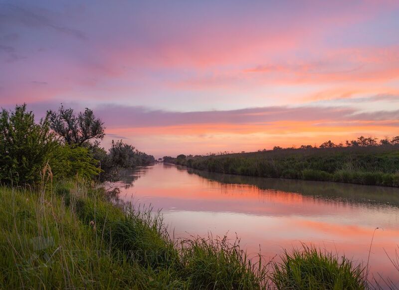 ставропольский край, ставрополье, весна, весенний, цветение, степь, степное, луг, горошек, весна, цветы, летнее, река, облака, рассвет, река, озеро, пруд, водоём, кавминводы, кубань, Благодать фото превью