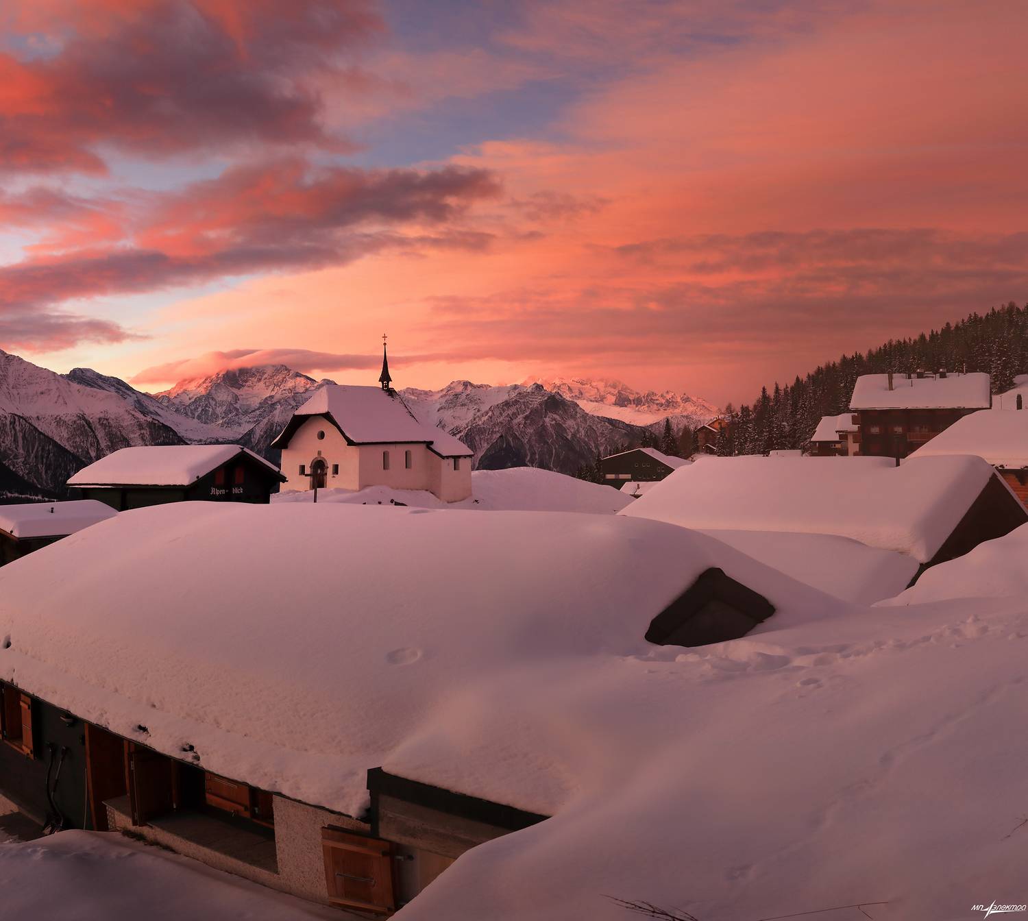 swiss, Матвеев Николай
