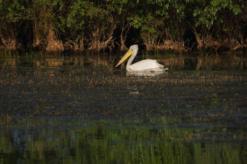 2015 фото превью