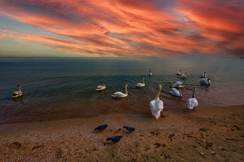 Море Черное фото превью
