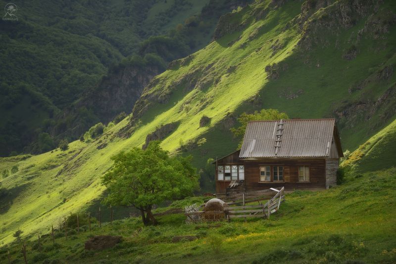 алания, северная осетия, кавказ, горы, лето, фототуры Аланский дворик фото превью