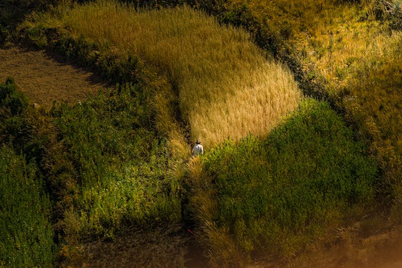 Trabajando фото превью