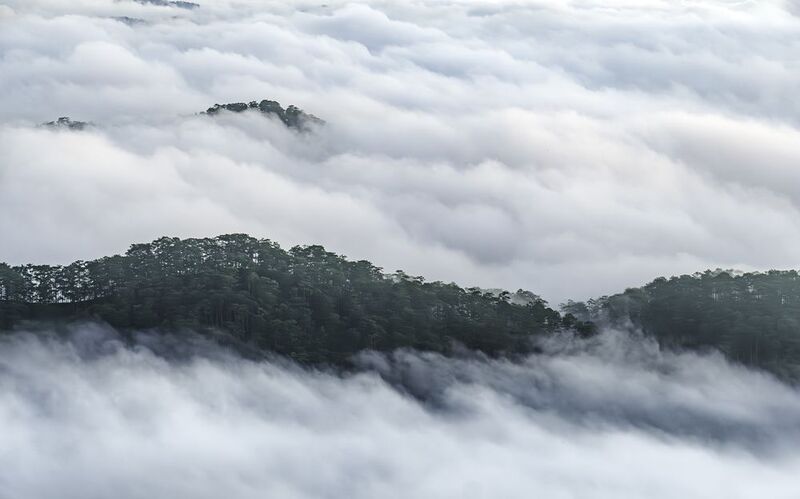Clouds over pine hill in Dalat, Vietnam at dawn фото превью