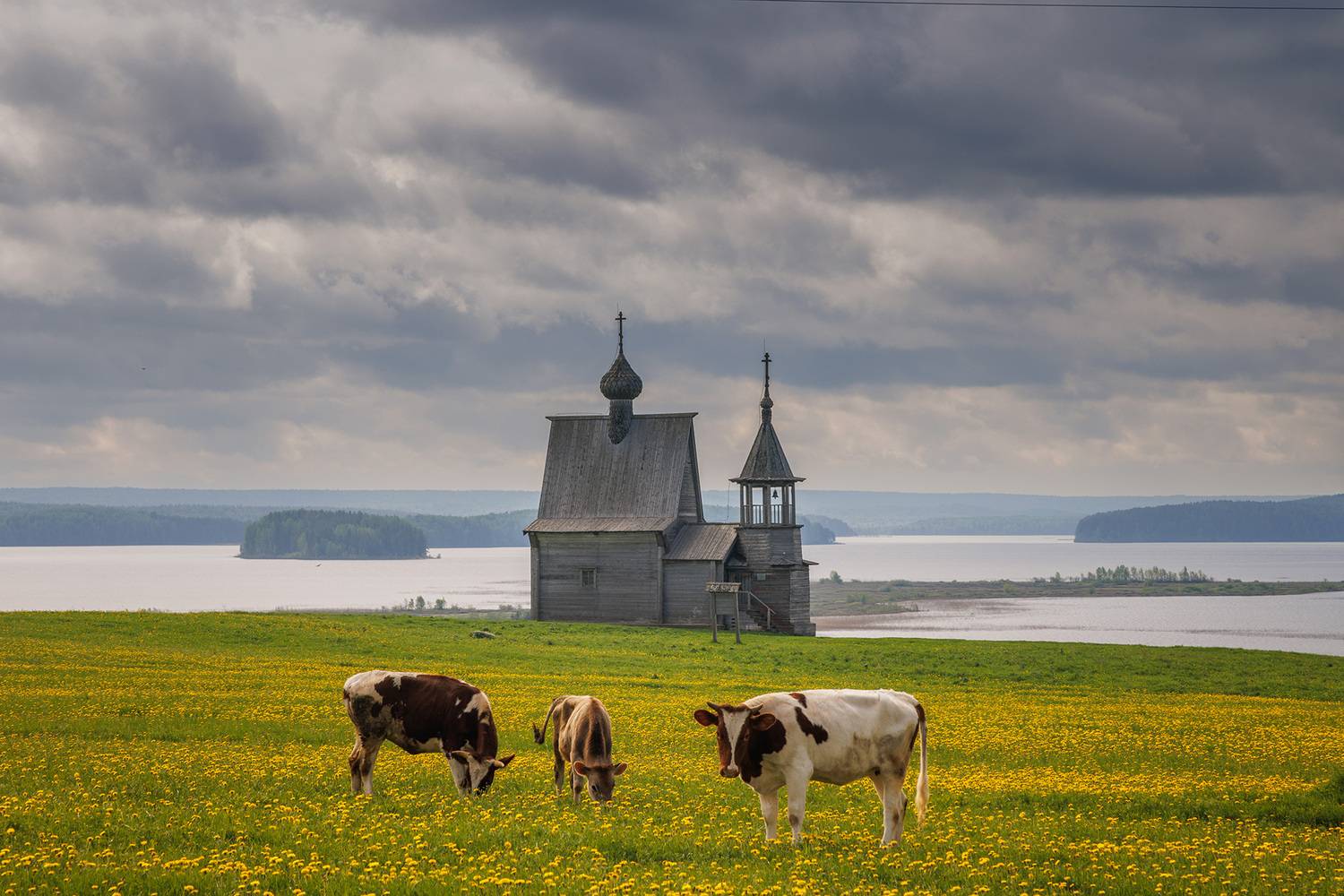 вершинина, Морозов Сергей