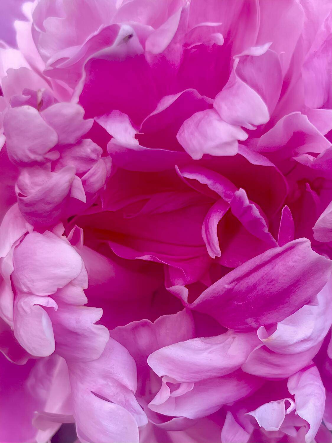 , Швец Павел