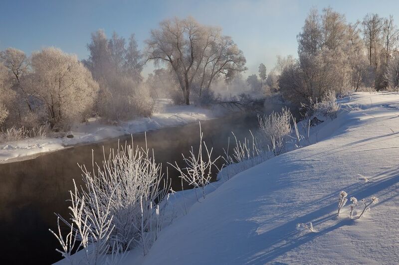 Морозный день фото превью