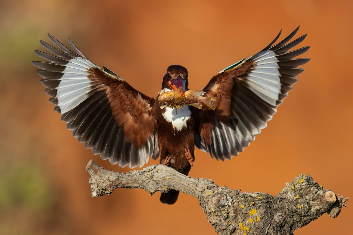 , Фруман Евгений