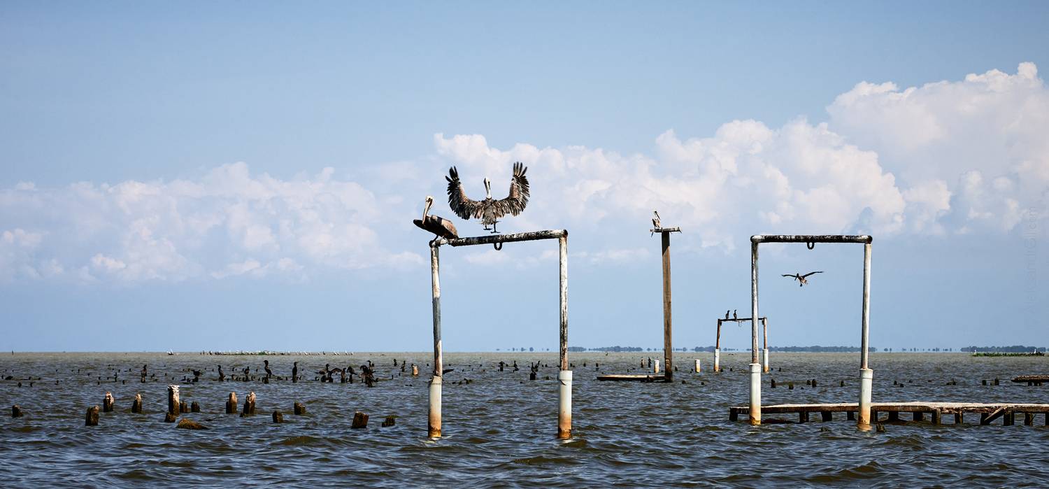 , Гиль Александр