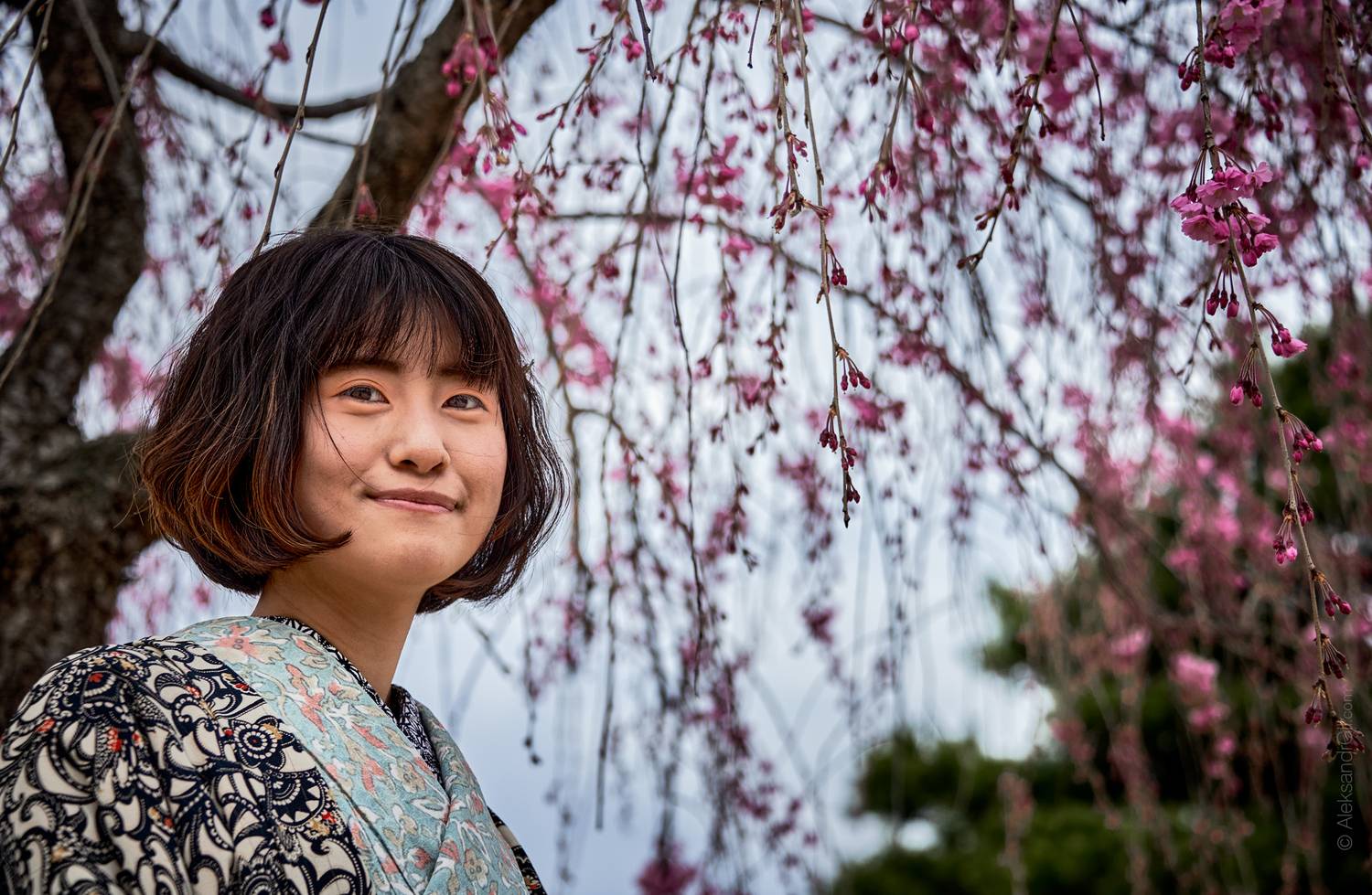 , Гиль Александр