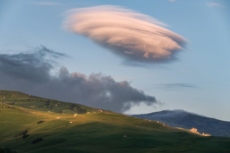 Дигория фото превью