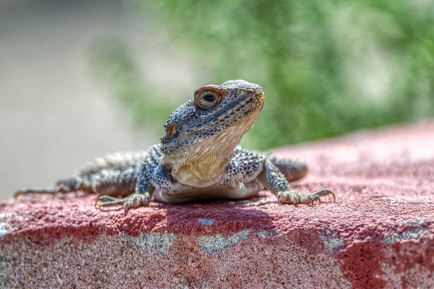 , Олег Савицкий