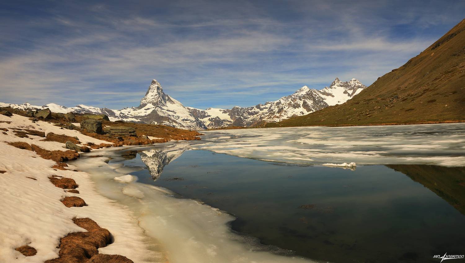 swiss, Матвеев Николай